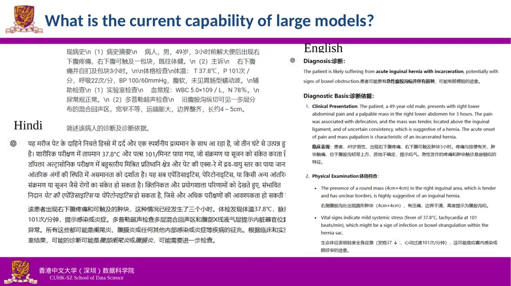 Efficiently Democratizing Medical LLMs for 50 - slide 6 of 19