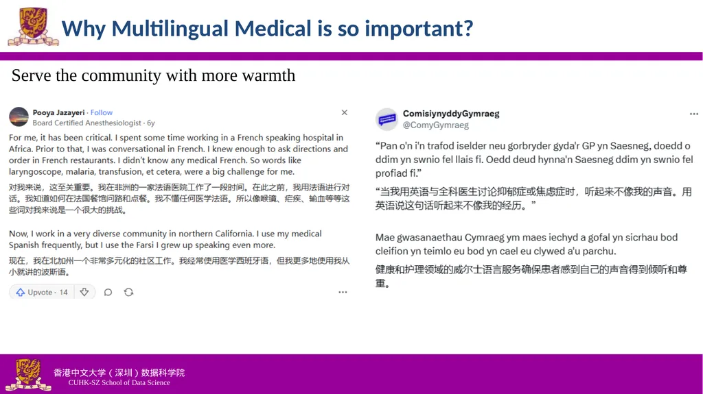 Efficiently Democratizing Medical LLMs for 50 - slide 5 of 19