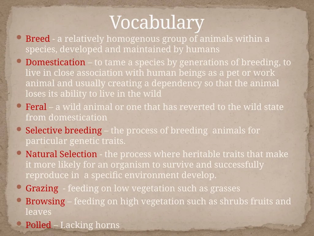 Comparing bovine phenotypes developed through - slide 2 of 8