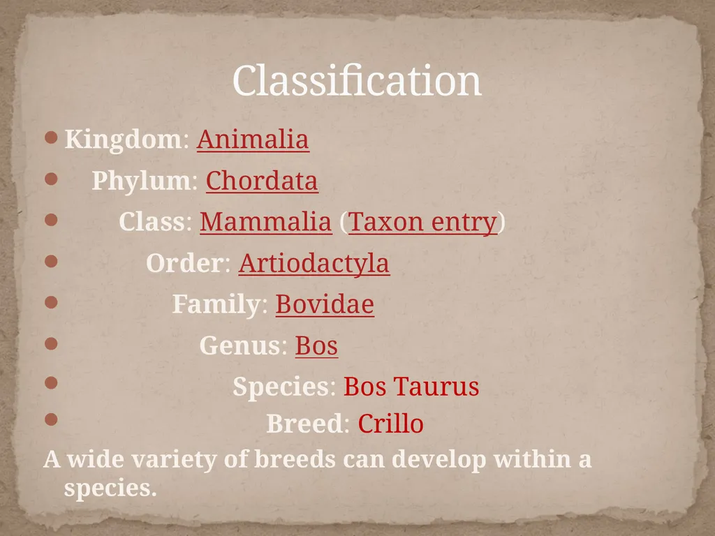 Comparing bovine phenotypes developed through - slide 3 of 8