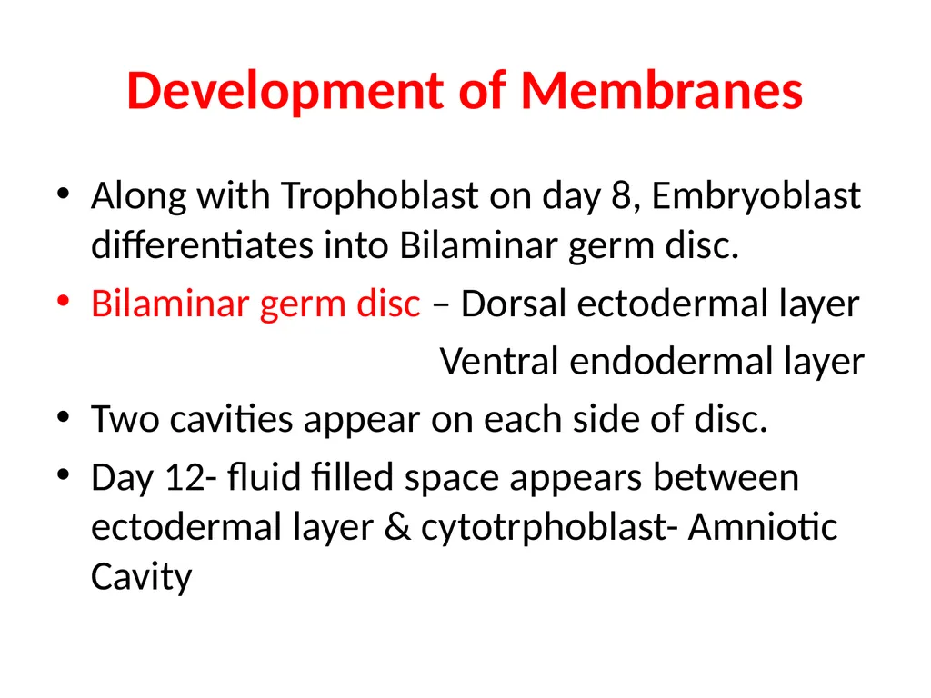 Placenta & Membranes- Development & Anatomy Mrs. - slide 33 of 51