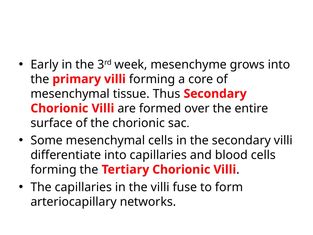 Placenta & Membranes- Development & Anatomy Mrs. - slide 11 of 51