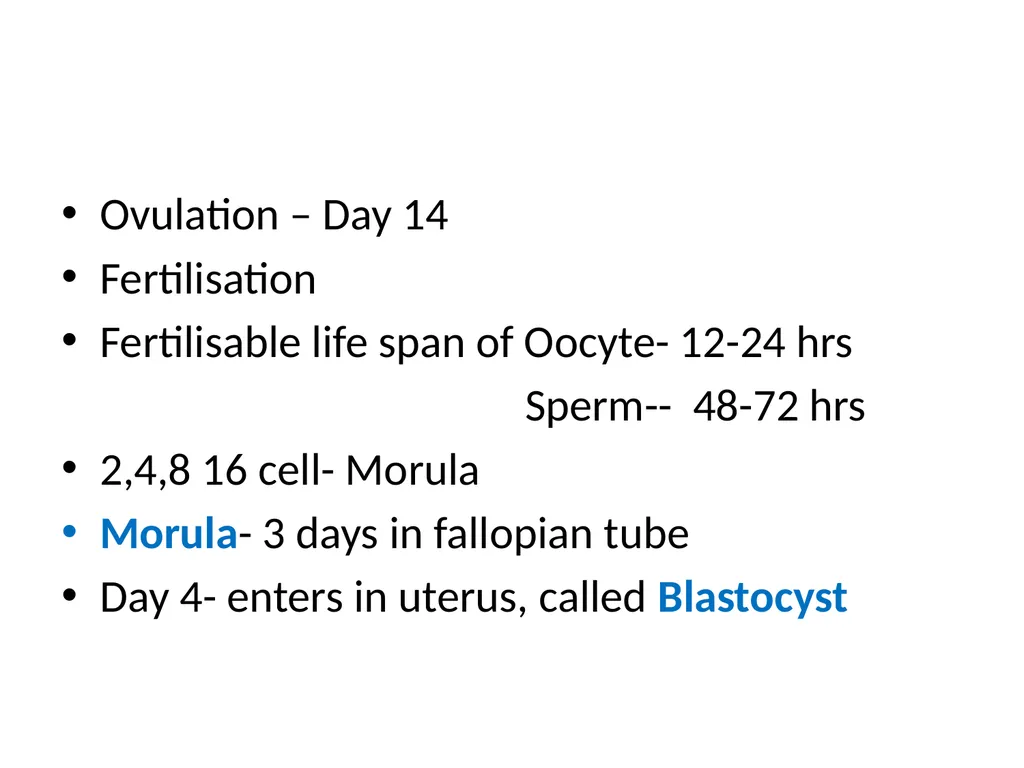 Placenta & Membranes- Development & Anatomy Mrs. - slide 6 of 51
