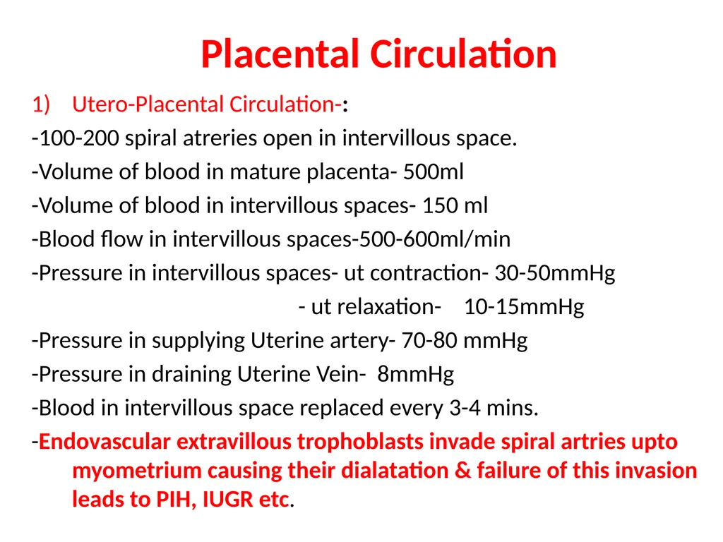 Placenta & Membranes- Development & Anatomy Mrs. - slide 28 of 51