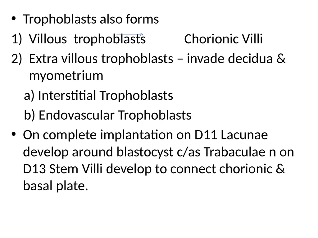 Placenta & Membranes- Development & Anatomy Mrs. - slide 10 of 51