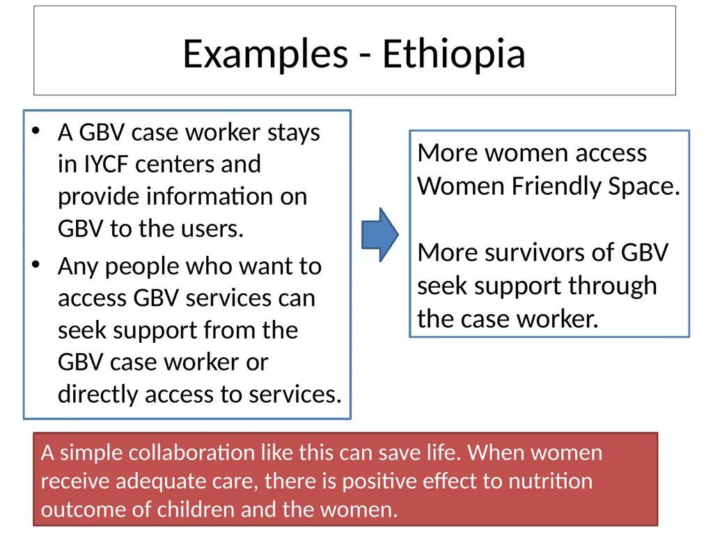 GBV and Nutrition Key linkages, activities and - slide 13 of 17
