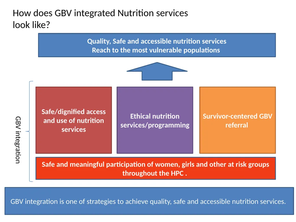 GBV and Nutrition Key linkages, activities and - slide 4 of 17