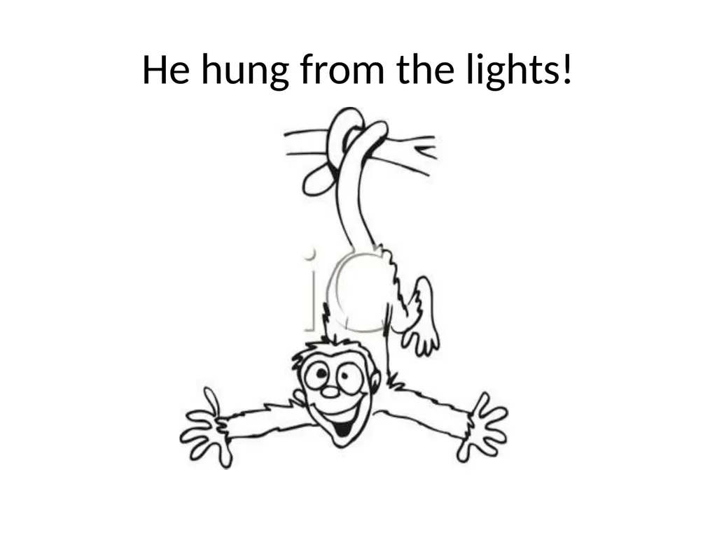 Bono the Monkey Went to School Bono the monkey - slide 5 of 21