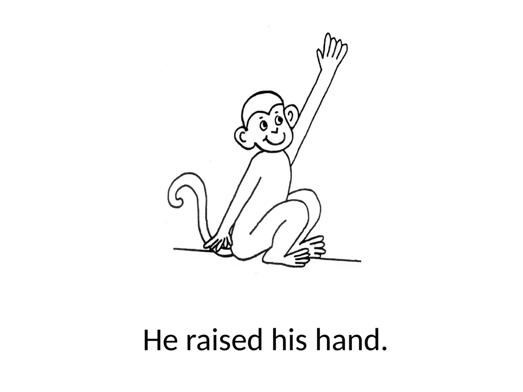 Bono the Monkey Went to School Bono the monkey - slide 16 of 21