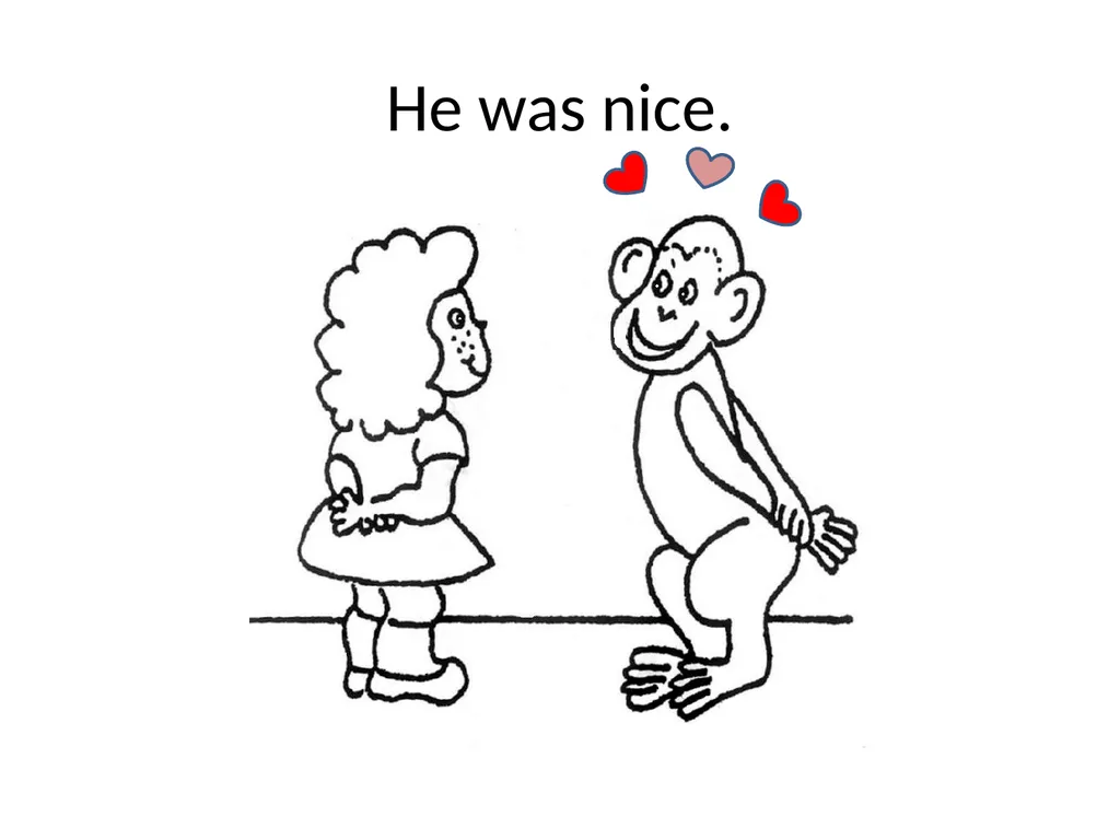 Bono the Monkey Went to School Bono the monkey - slide 17 of 21