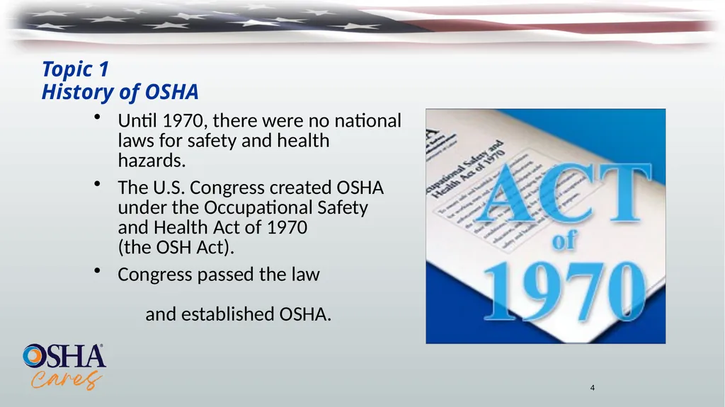Lesson Overview Purpose: To provide workers with - slide 4 of 38
