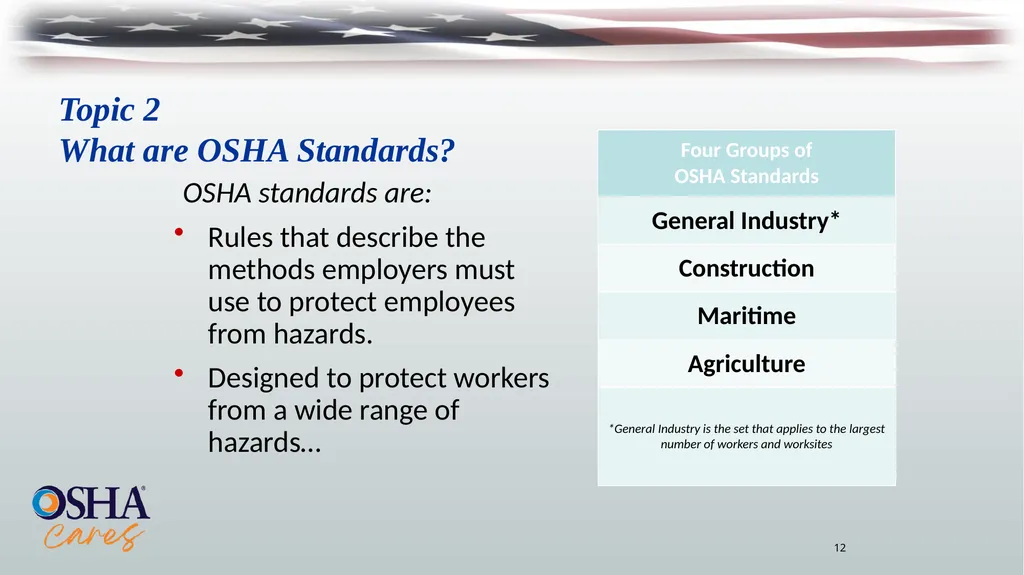 Lesson Overview Purpose: To provide workers with - slide 12 of 38