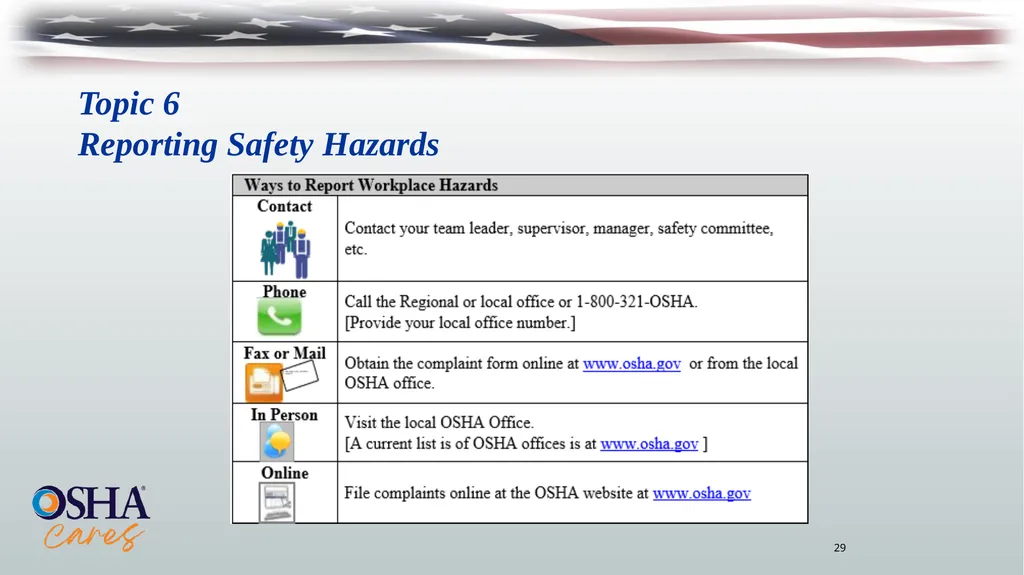 Lesson Overview Purpose: To provide workers with - slide 29 of 38