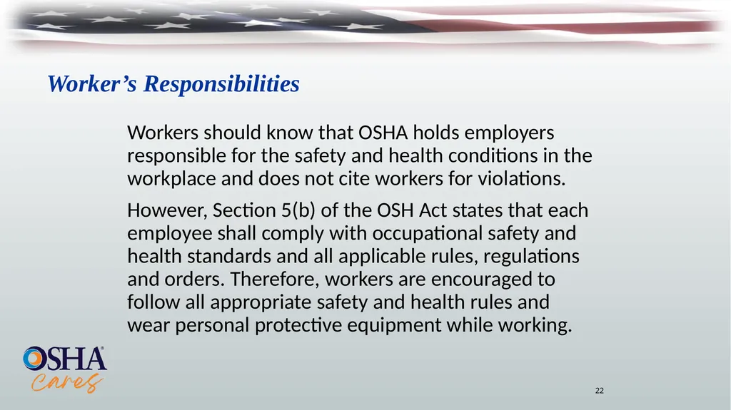 Lesson Overview Purpose: To provide workers with - slide 22 of 38