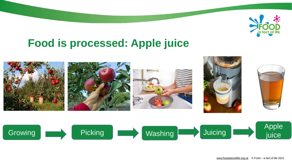 Food is produced and processed All food is from a - slide 20 of 24