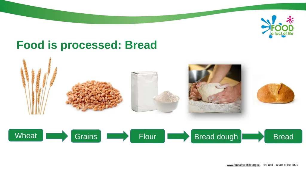 Food is produced and processed All food is from a - slide 22 of 24