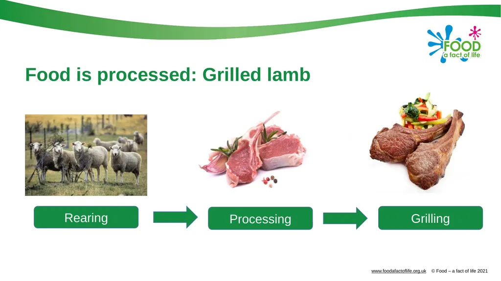 Food is produced and processed All food is from a - slide 19 of 24