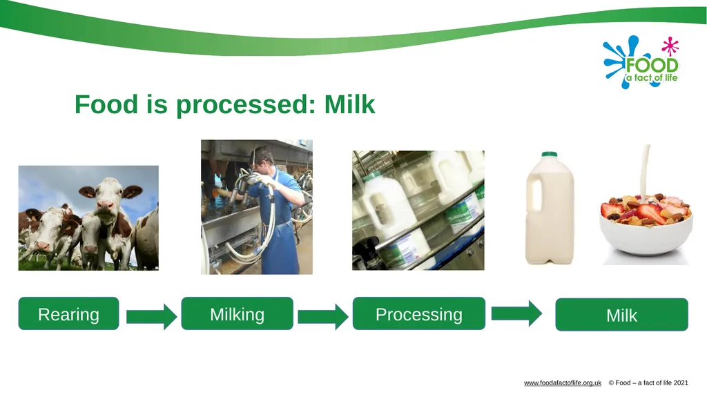 Food is produced and processed All food is from a - slide 21 of 24