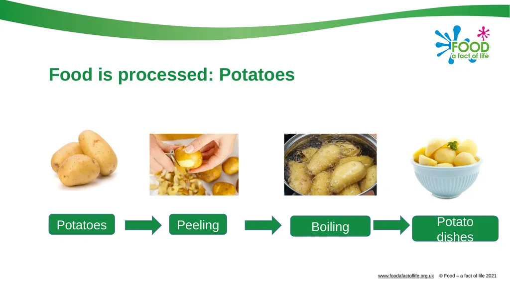 Food is produced and processed All food is from a - slide 23 of 24