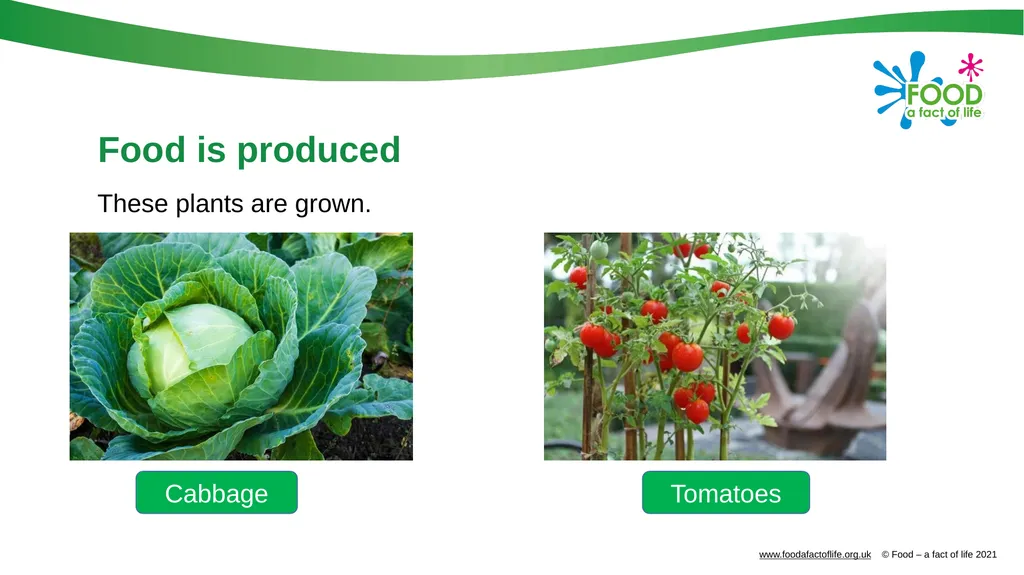 Food is produced and processed All food is from a - slide 8 of 24