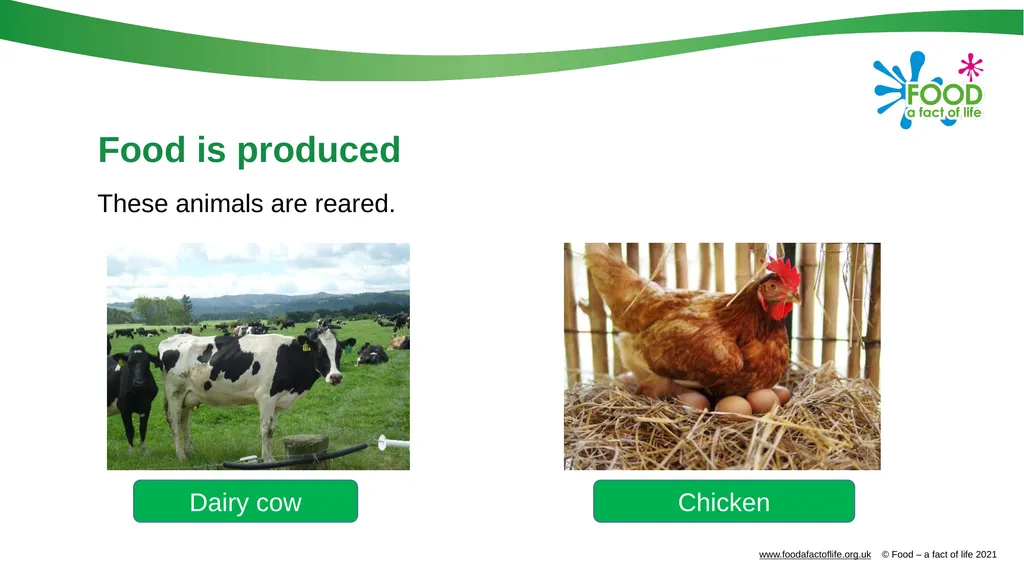 Food is produced and processed All food is from a - slide 9 of 24