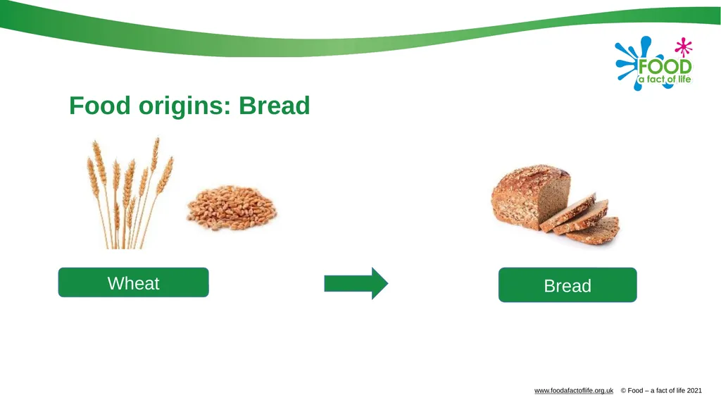 Food is produced and processed All food is from a - slide 14 of 24