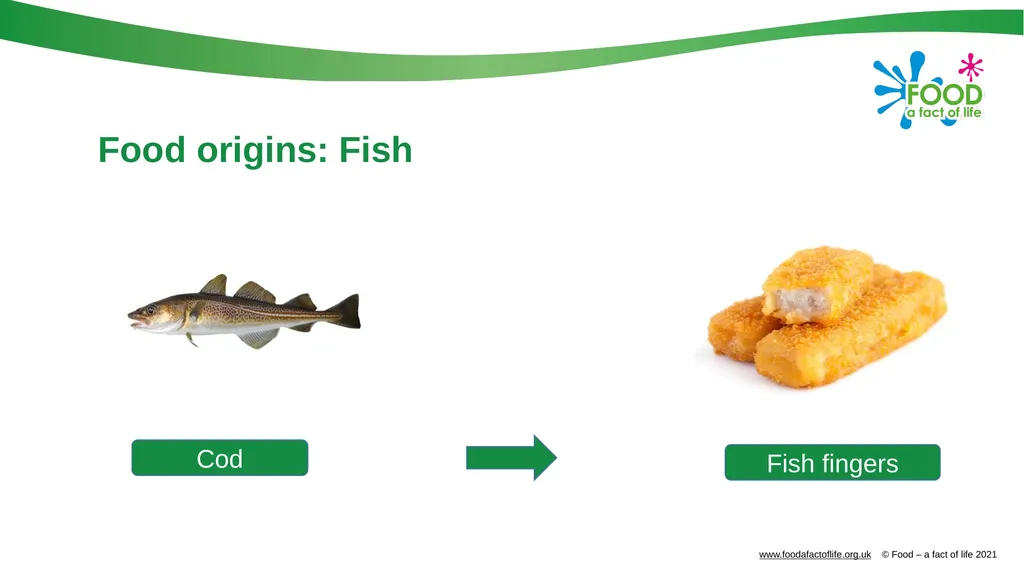 Food is produced and processed All food is from a - slide 18 of 24
