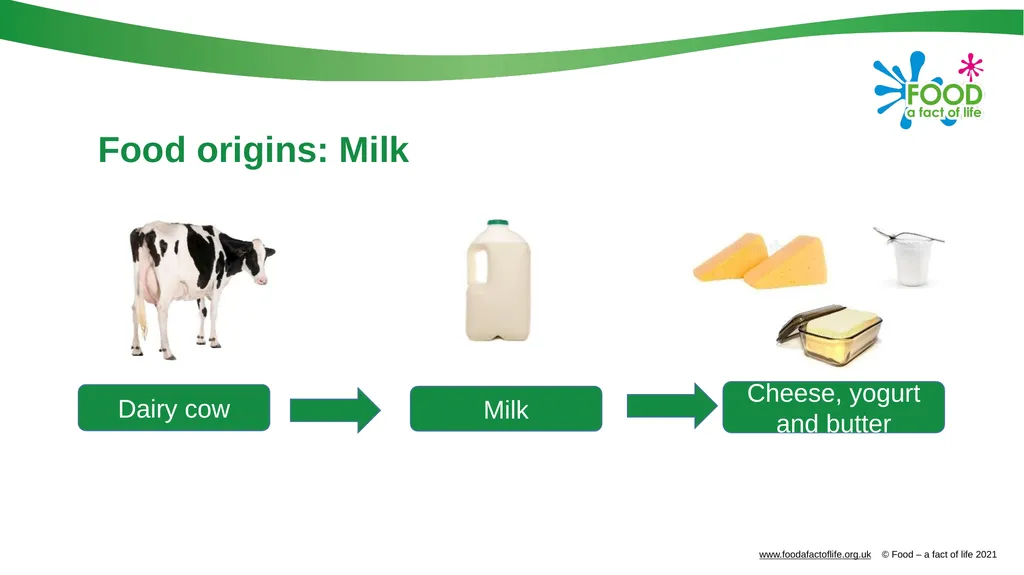 Food is produced and processed All food is from a - slide 11 of 24
