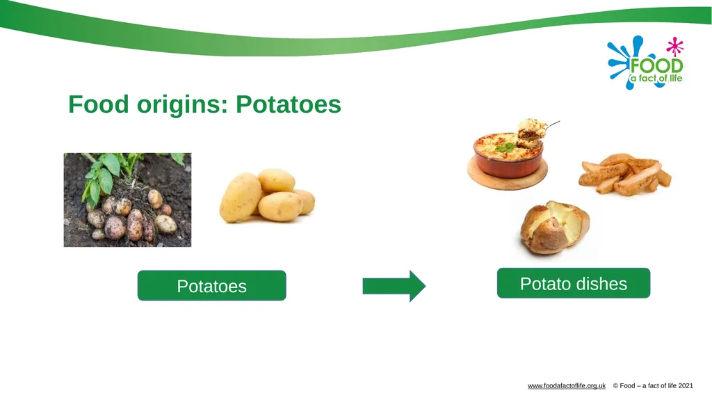 Food is produced and processed All food is from a - slide 13 of 24