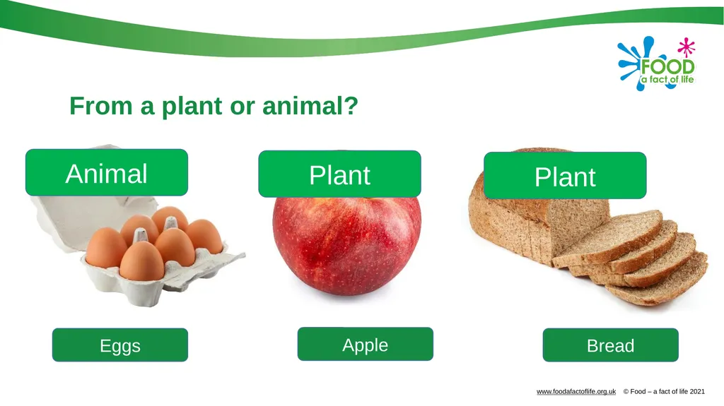 Food is produced and processed All food is from a - slide 6 of 24