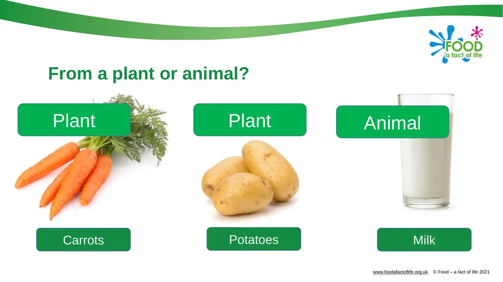 Food is produced and processed All food is from a - slide 7 of 24