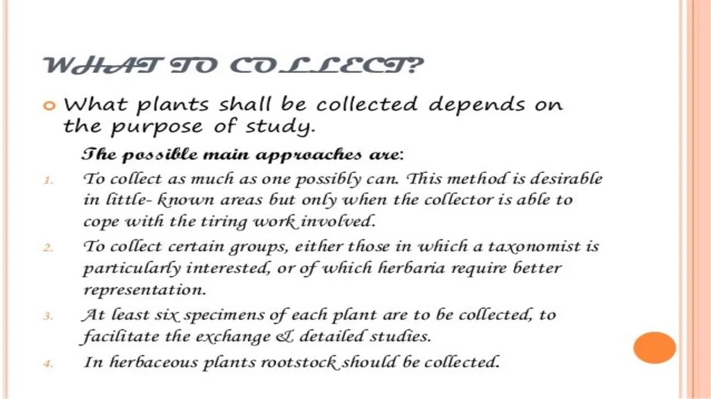 HERBARIUM PREPARATION OF HERBARIUM SHEETS, - slide 15 of 38