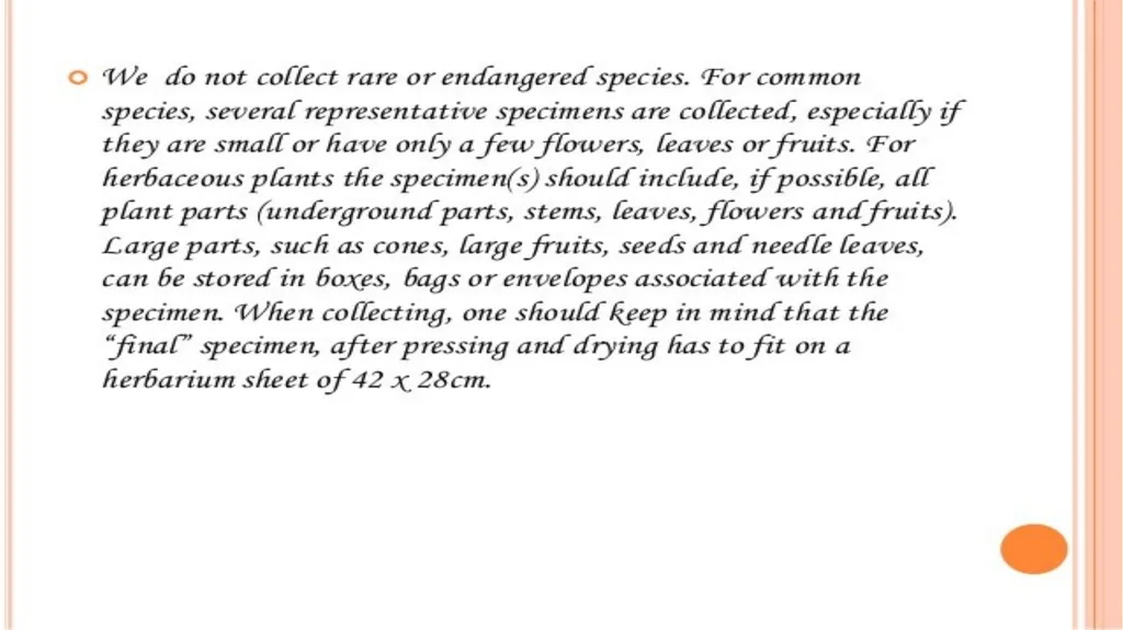 HERBARIUM PREPARATION OF HERBARIUM SHEETS, - slide 16 of 38