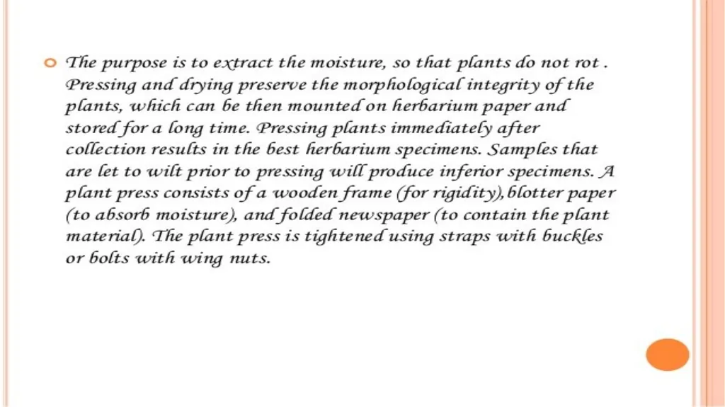 HERBARIUM PREPARATION OF HERBARIUM SHEETS, - slide 24 of 38