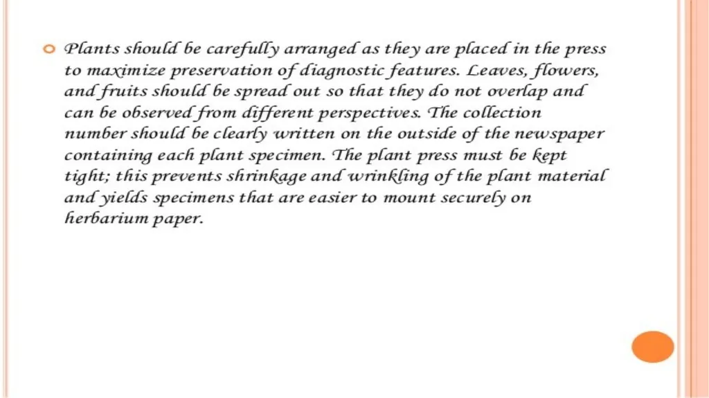 HERBARIUM PREPARATION OF HERBARIUM SHEETS, - slide 25 of 38