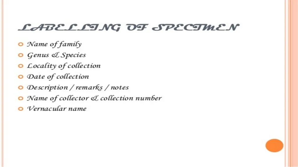 HERBARIUM PREPARATION OF HERBARIUM SHEETS, - slide 35 of 38