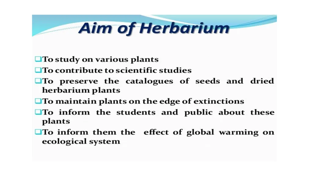 HERBARIUM PREPARATION OF HERBARIUM SHEETS, - slide 5 of 38