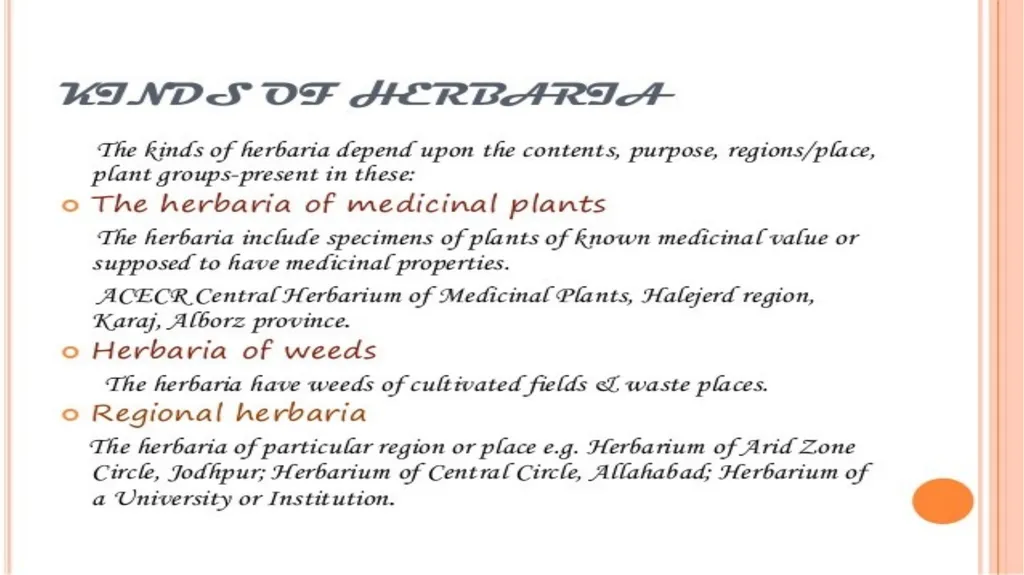 HERBARIUM PREPARATION OF HERBARIUM SHEETS, - slide 9 of 38