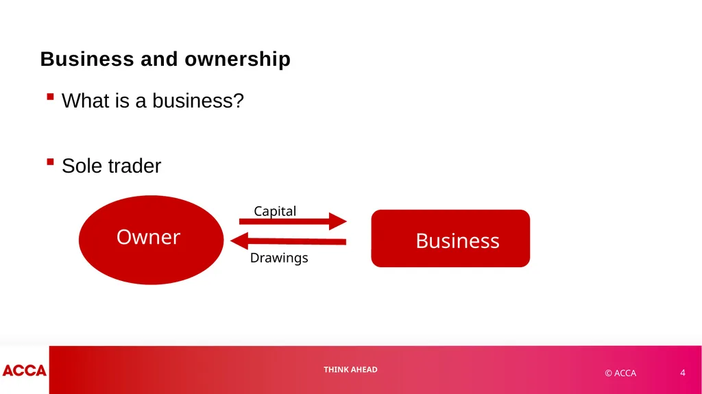 Chapter 1 Financial Statements and Financial - slide 4 of 37