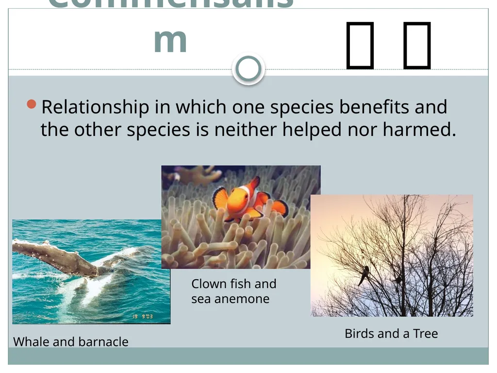 How do living and nonliving parts of the earth - slide 28 of 35