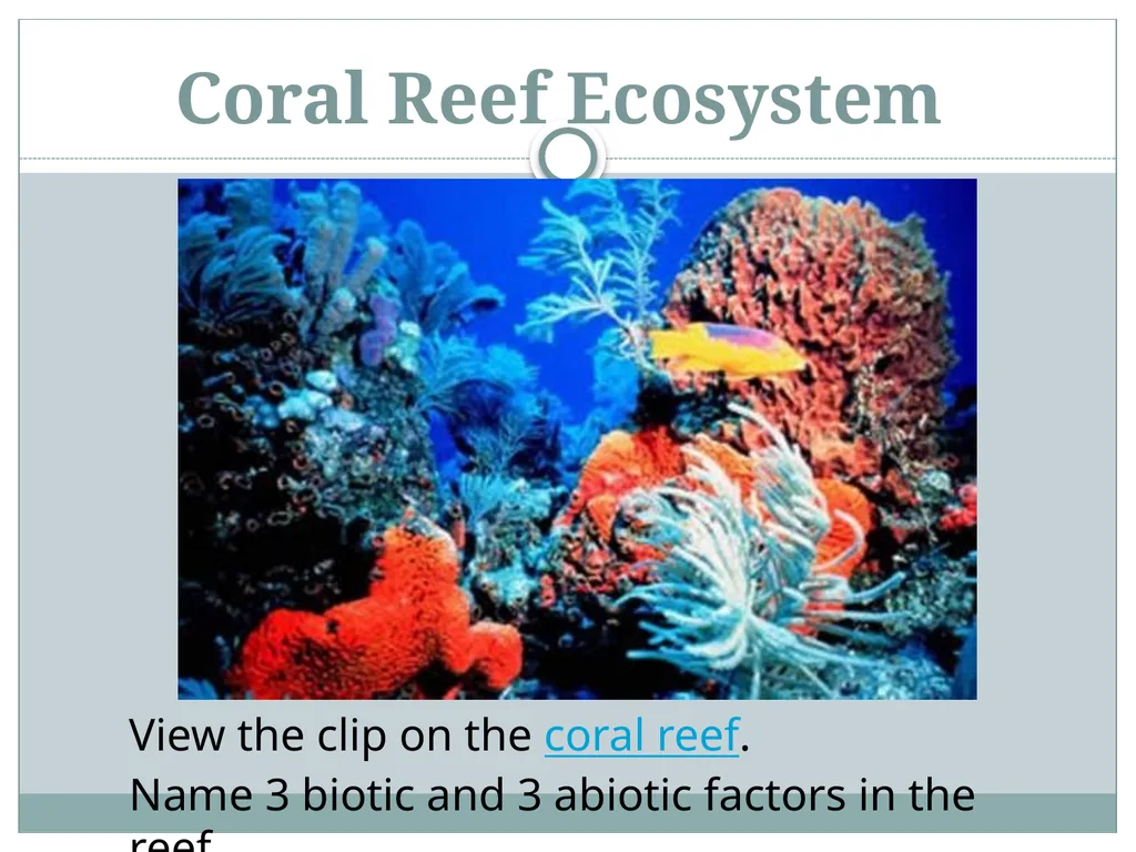 How do living and nonliving parts of the earth - slide 34 of 35