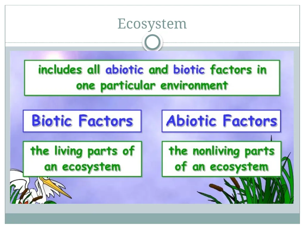 How do living and nonliving parts of the earth - slide 8 of 35