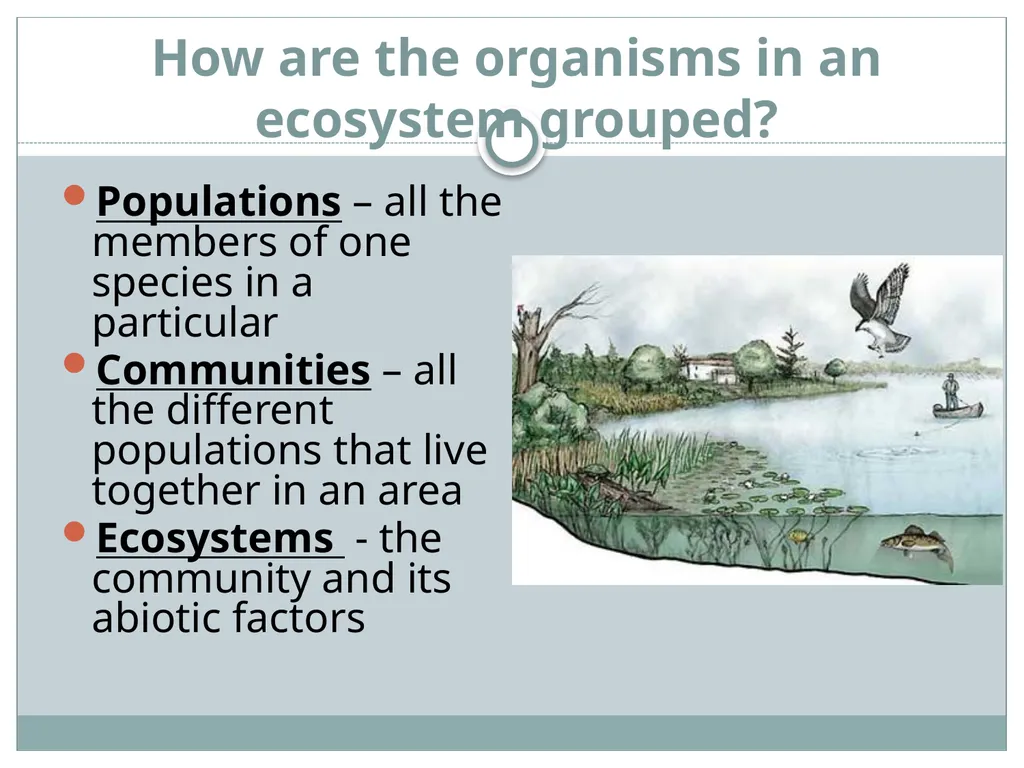 How do living and nonliving parts of the earth - slide 12 of 35