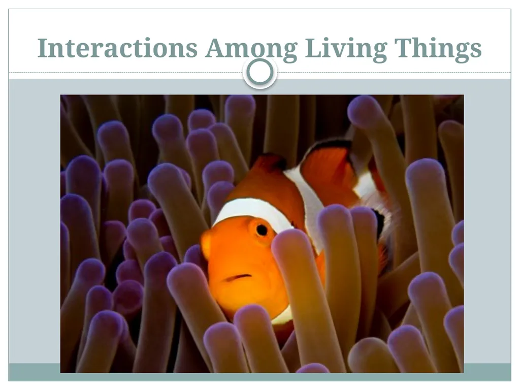 How do living and nonliving parts of the earth - slide 18 of 35