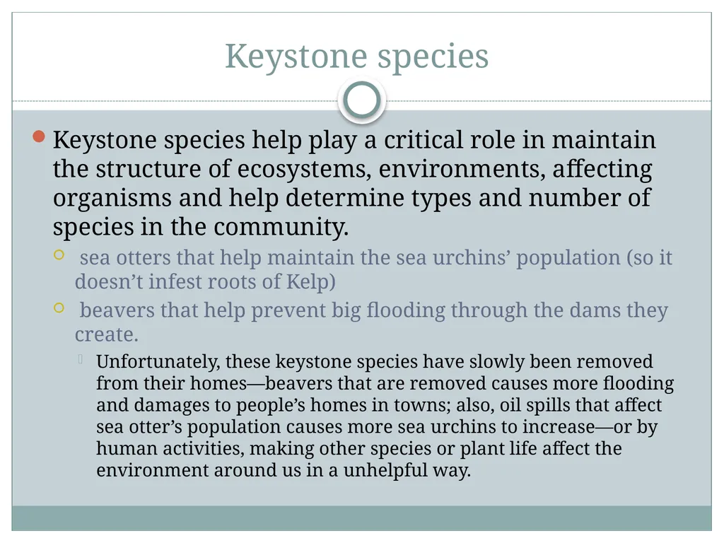 How do living and nonliving parts of the earth - slide 24 of 35