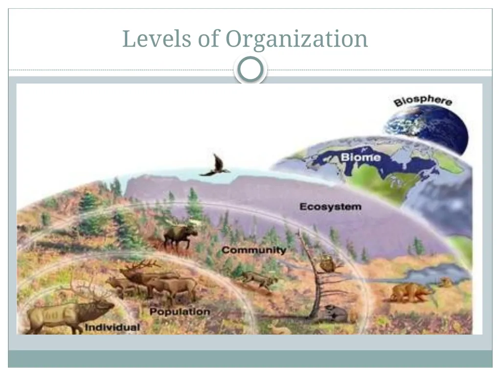 How do living and nonliving parts of the earth - slide 5 of 35