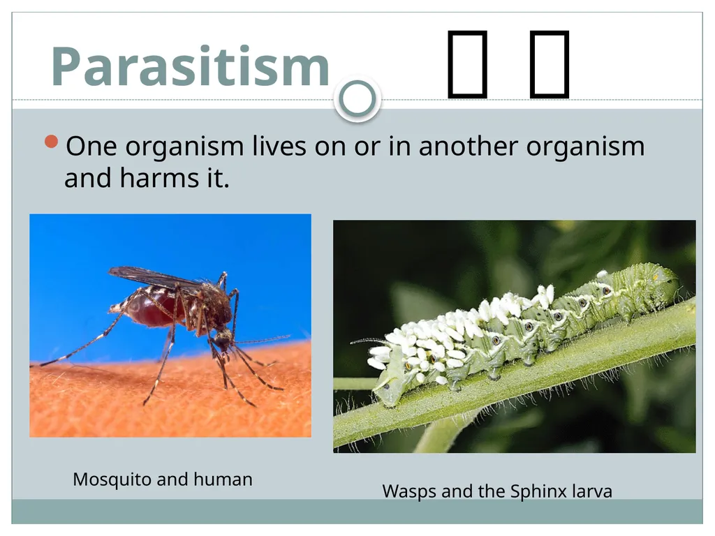 How do living and nonliving parts of the earth - slide 29 of 35