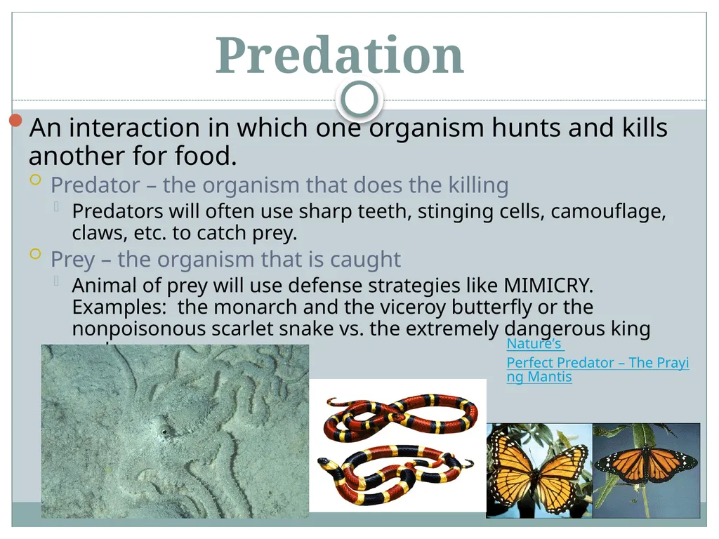 How do living and nonliving parts of the earth - slide 22 of 35