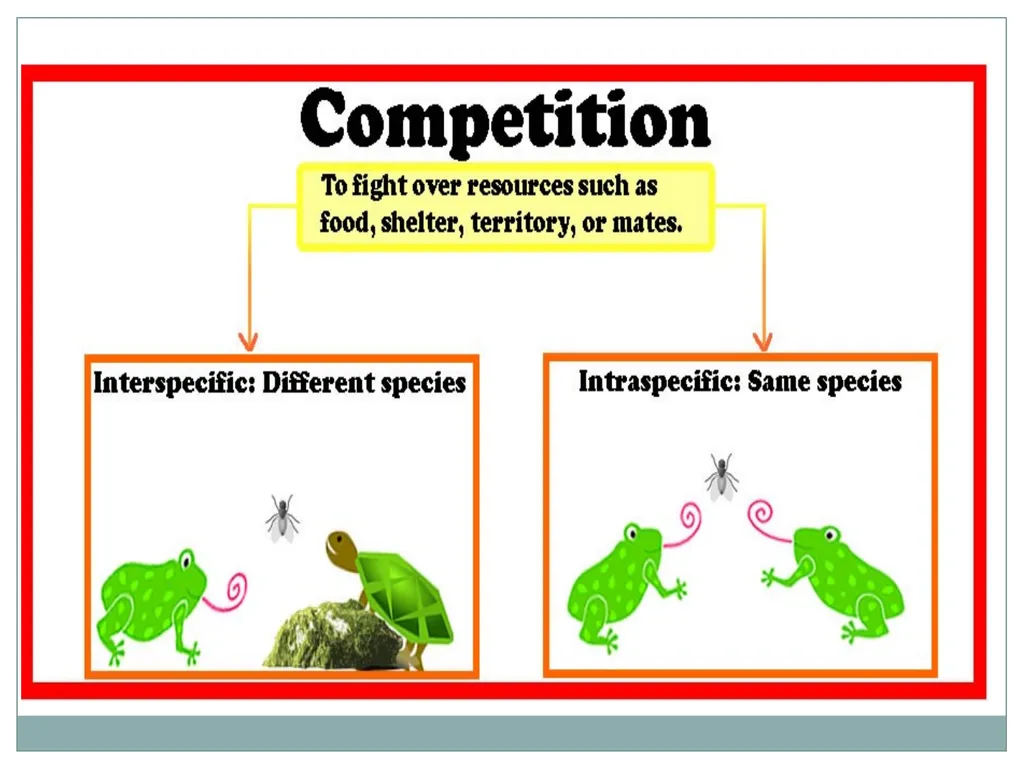 How do living and nonliving parts of the earth - slide 19 of 35