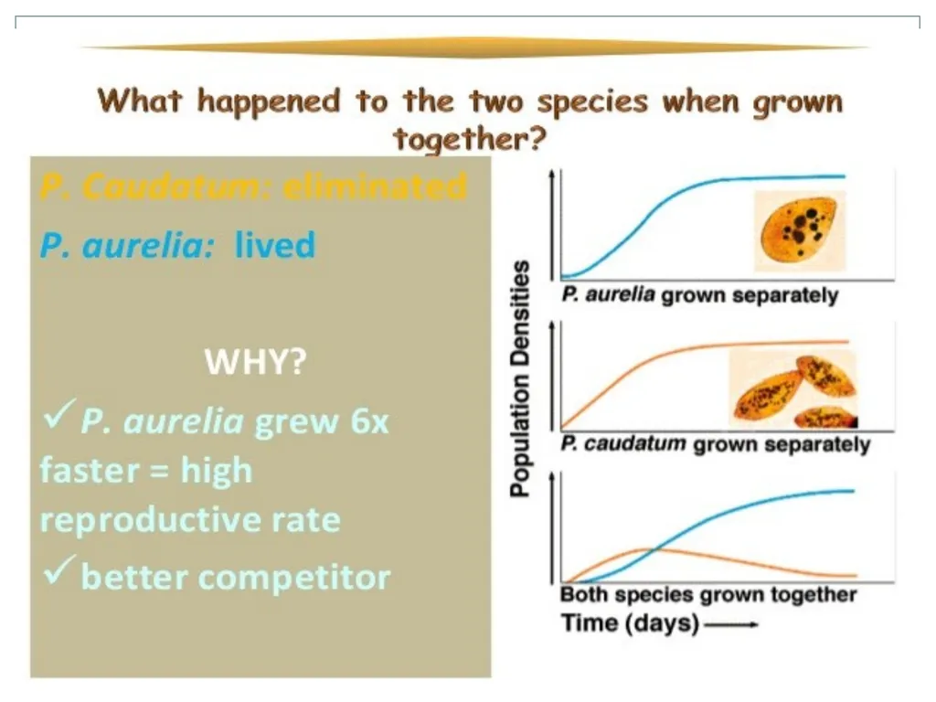 How do living and nonliving parts of the earth - slide 21 of 35